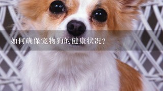 如何确保宠物狗的健康状况?