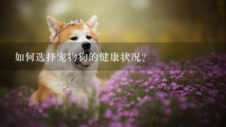 如何选择宠物狗的健康状况?