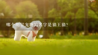 哪个明星宠物的名字是猫王猫?