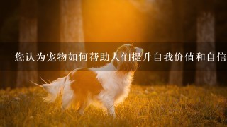 您认为宠物如何帮助人们提升自我价值和自信?