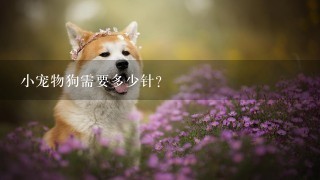 小宠物狗需要多少针?