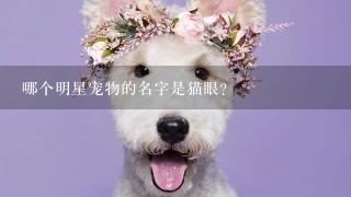 哪个明星宠物的名字是猫眼?