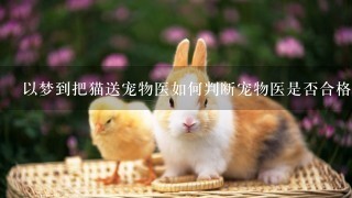 以梦到把猫送宠物医如何判断宠物医是否合格?