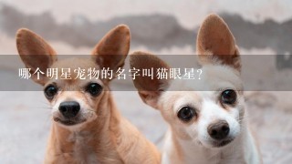 哪个明星宠物的名字叫猫眼星?