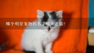 哪个明星宠物的名字叫天之猫?