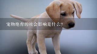 宠物绝育的社会影响是什么?