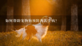 如何帮助宠物狗预防再次生病?