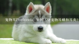 宠物耳Pozdrawiam如何区分宠物耳螨和耳炎?