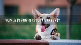 领养宠物狗的哪些机构可以找到?