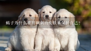 蝎子为什么要用刺刺的皮肤来保护自己?