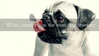 Which country has the most dog trainers?