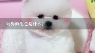 狗狗的毛色是什么?